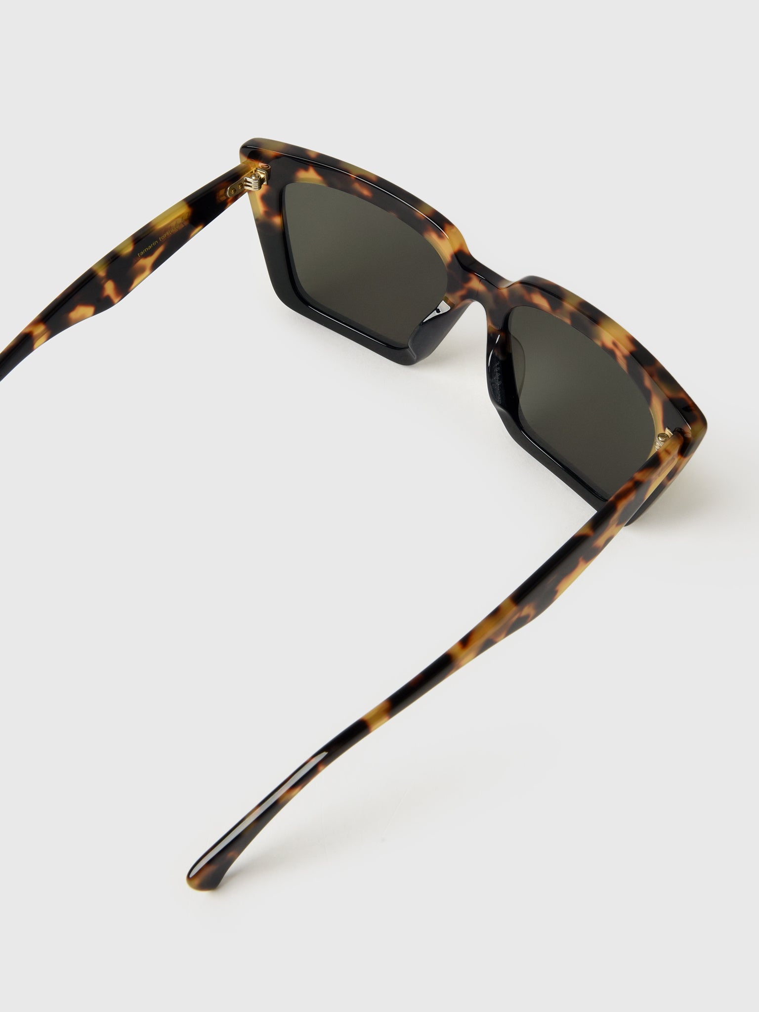 100W211KRAxTAMARINTORTOISEHIPROBRONZE-alt3