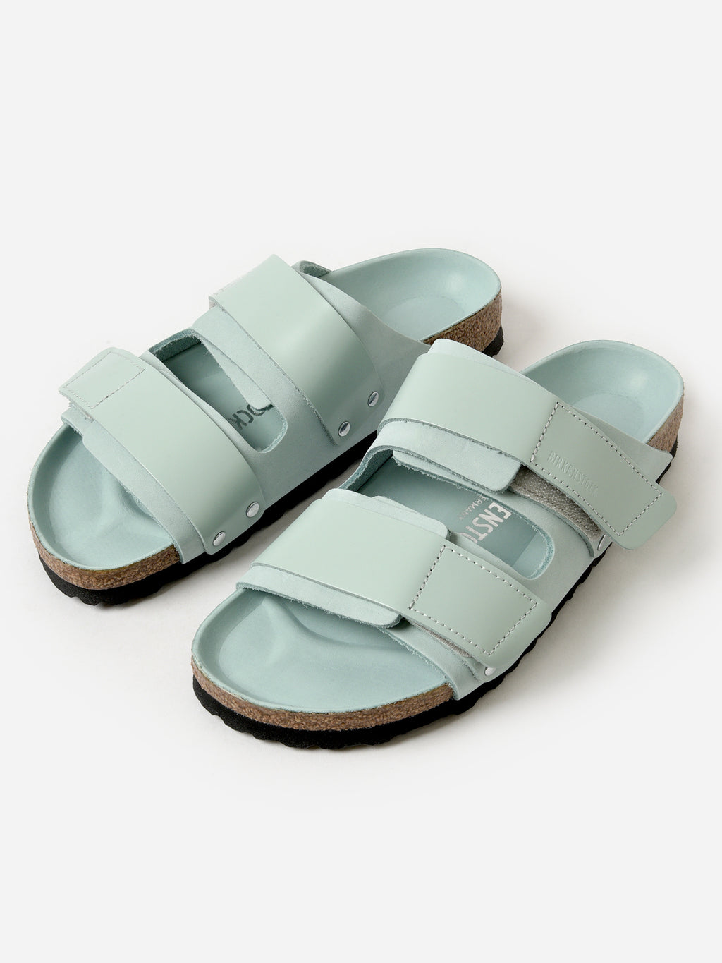 1026498xSURFGREEN-alt2