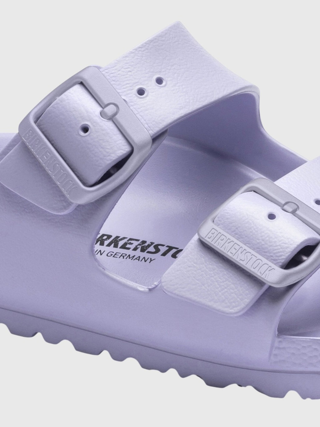 1031309xPURPLEFOG-alt1