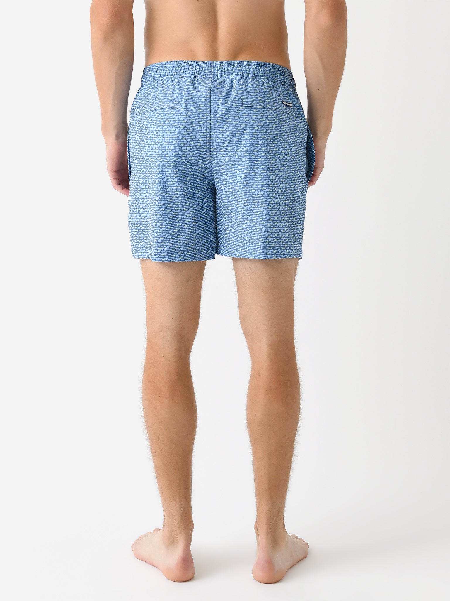 10669__xCORONETBLUE-alt3