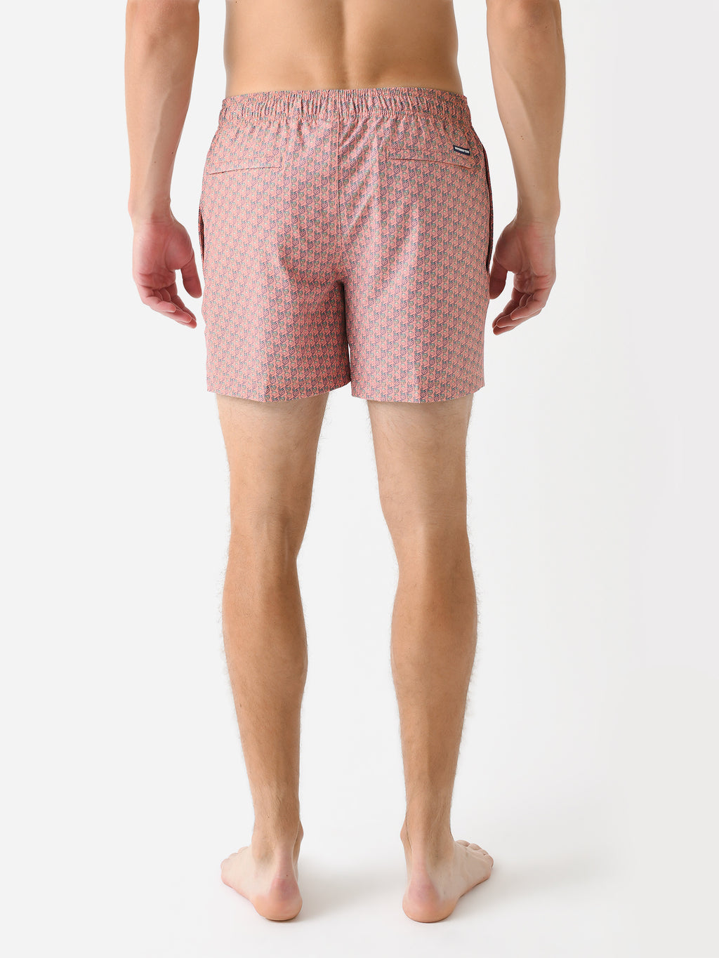 10671_xDESERTFLOWERCORAL-alt3