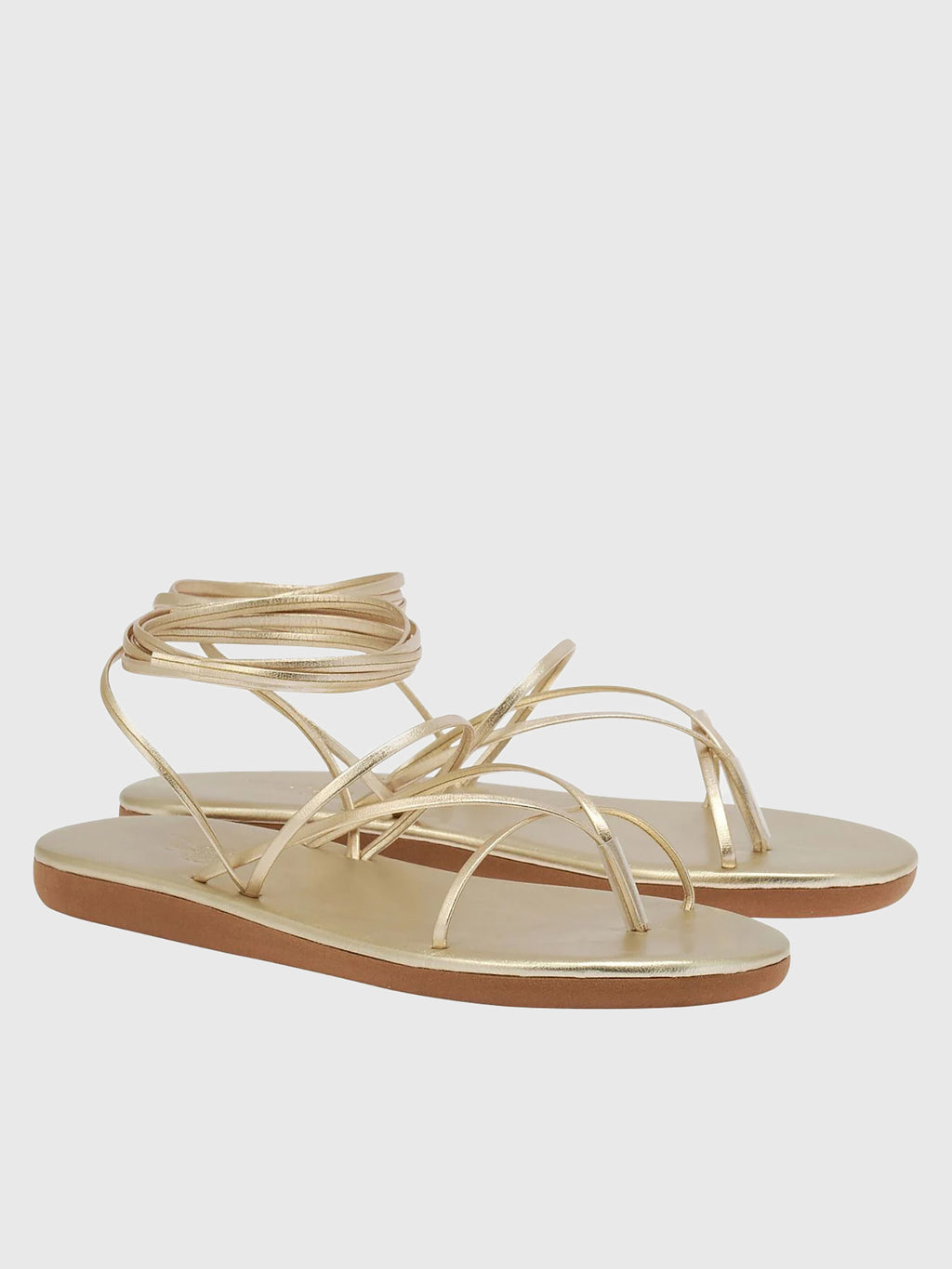 Ancient Greek Sandals Women's String Flip Flop - Saint Bernard