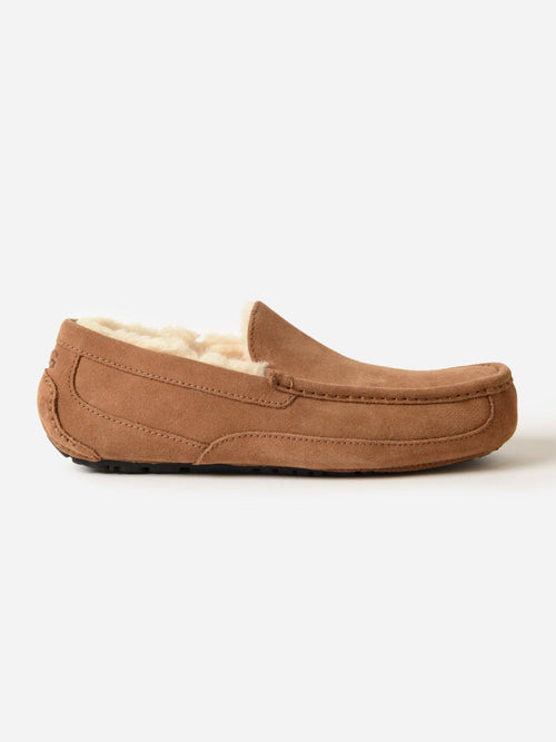 UGG Men's Ascot Slipper