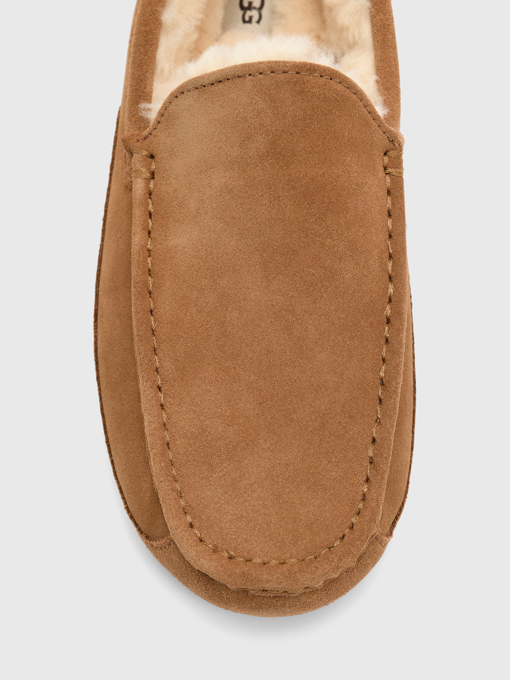 UGG Men's Ascot Slipper - Saint Bernard