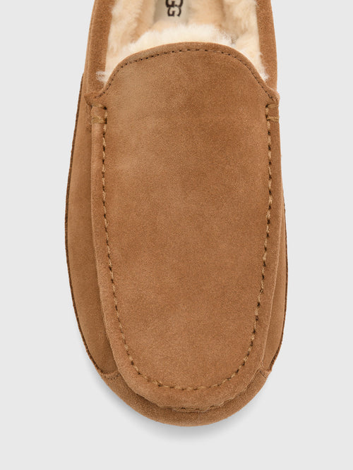 UGG Men's Ascot Slipper