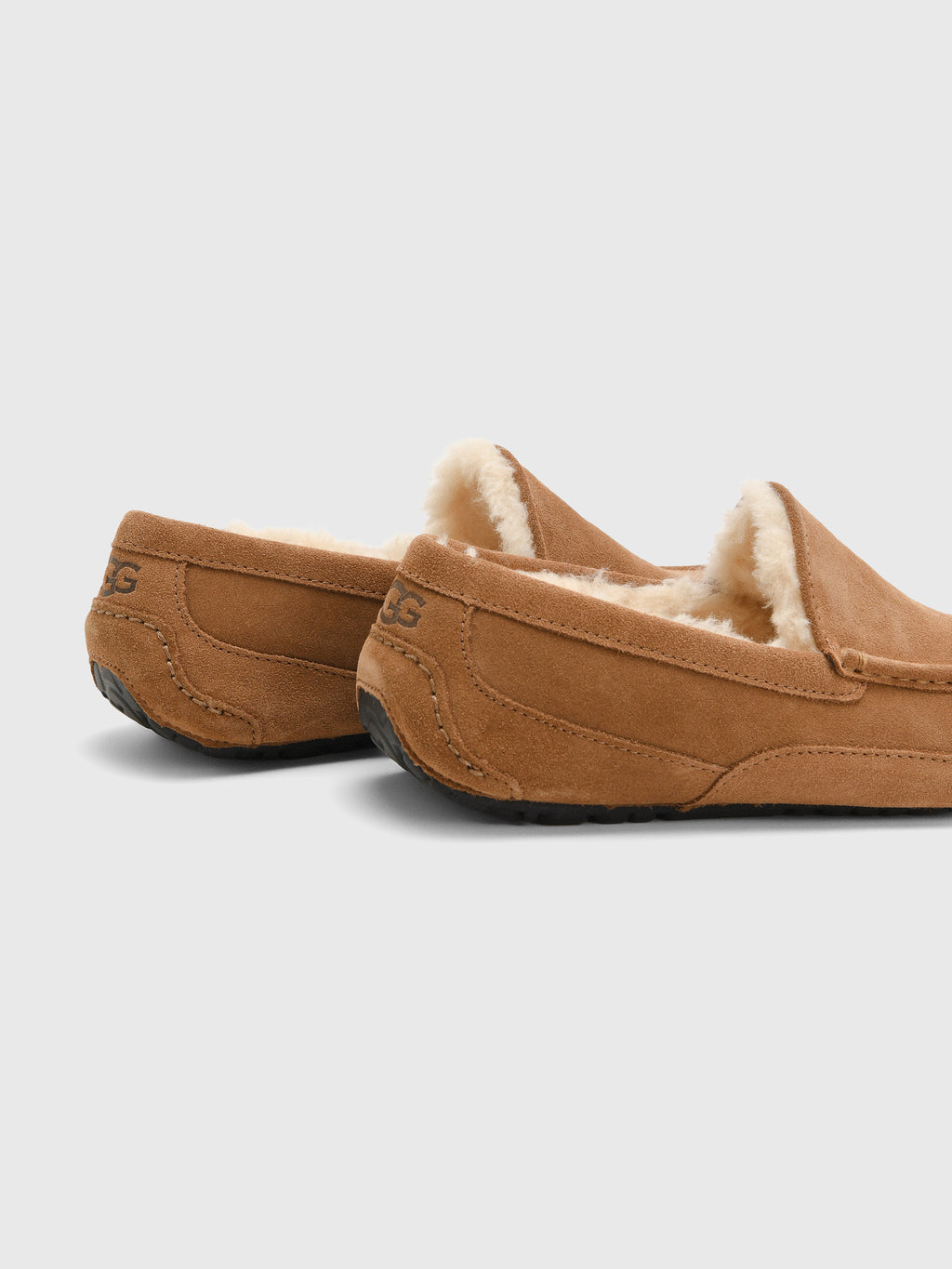 UGG Men's Ascot Slipper - Saint Bernard