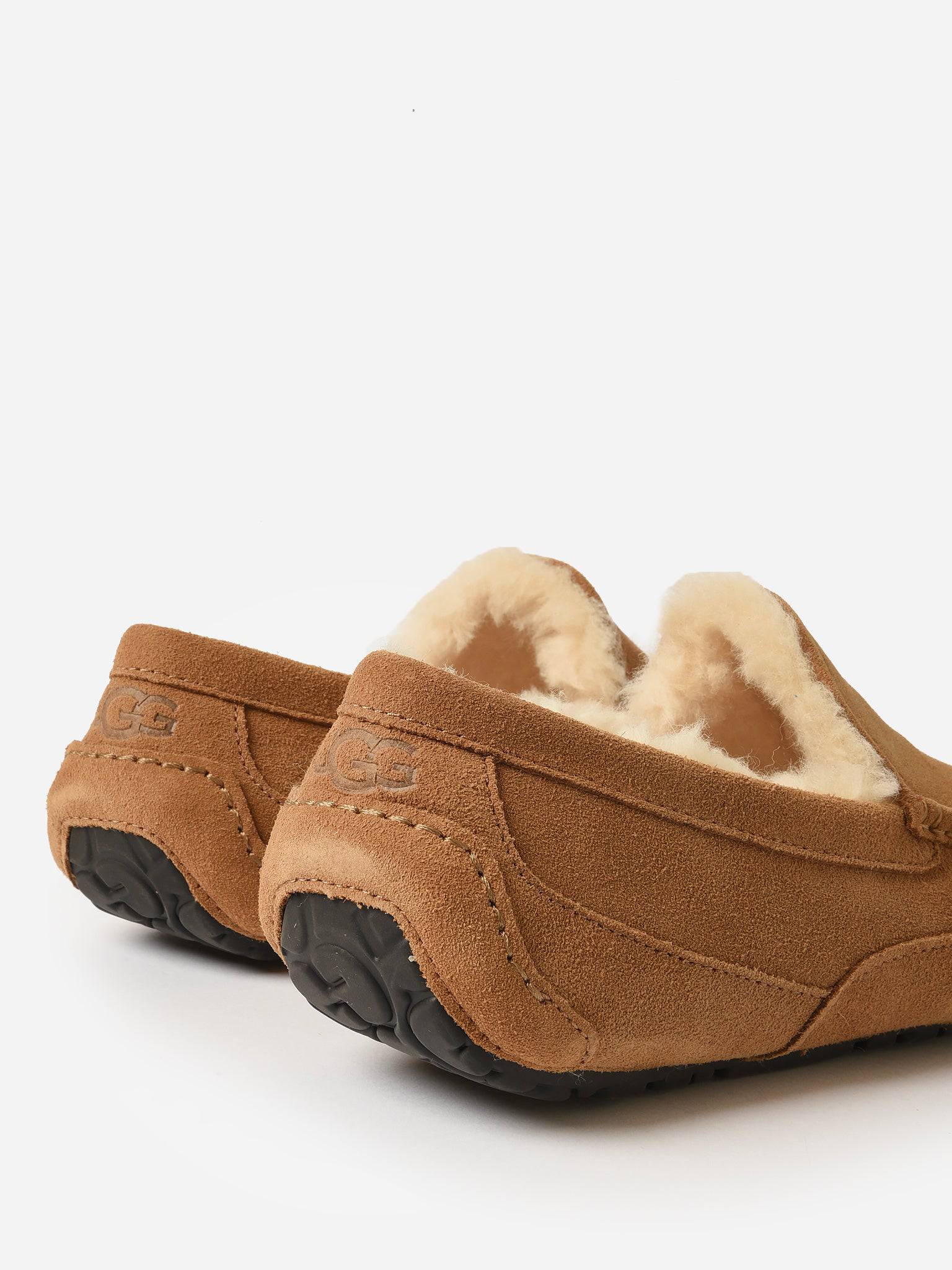 UGG Men's Ascot Slipper Saint Bernard - Main Image