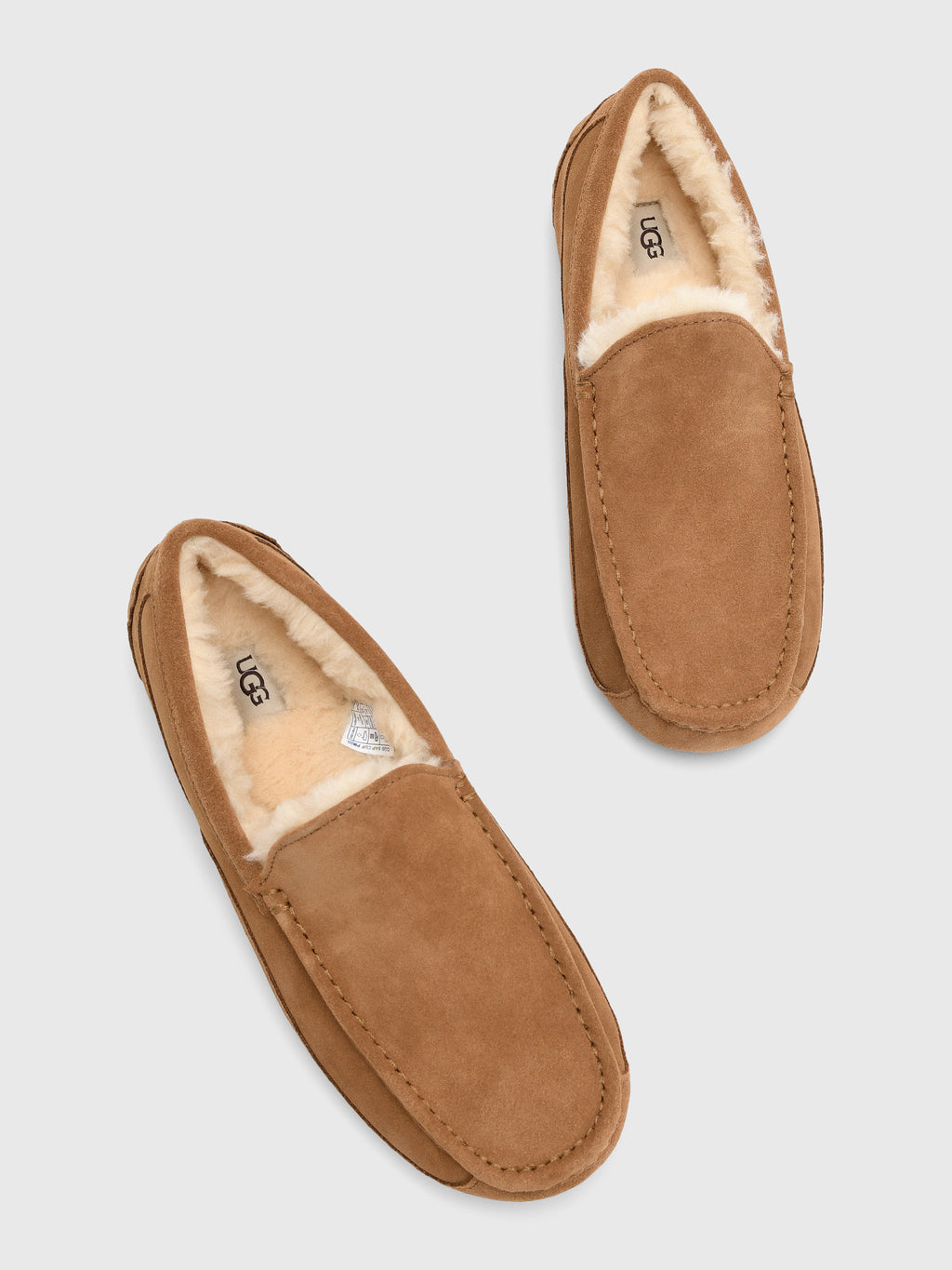UGG Men's Ascot Slipper - Saint Bernard