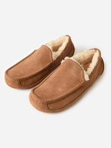 UGG Men's Ascot Slipper - Saint Bernard