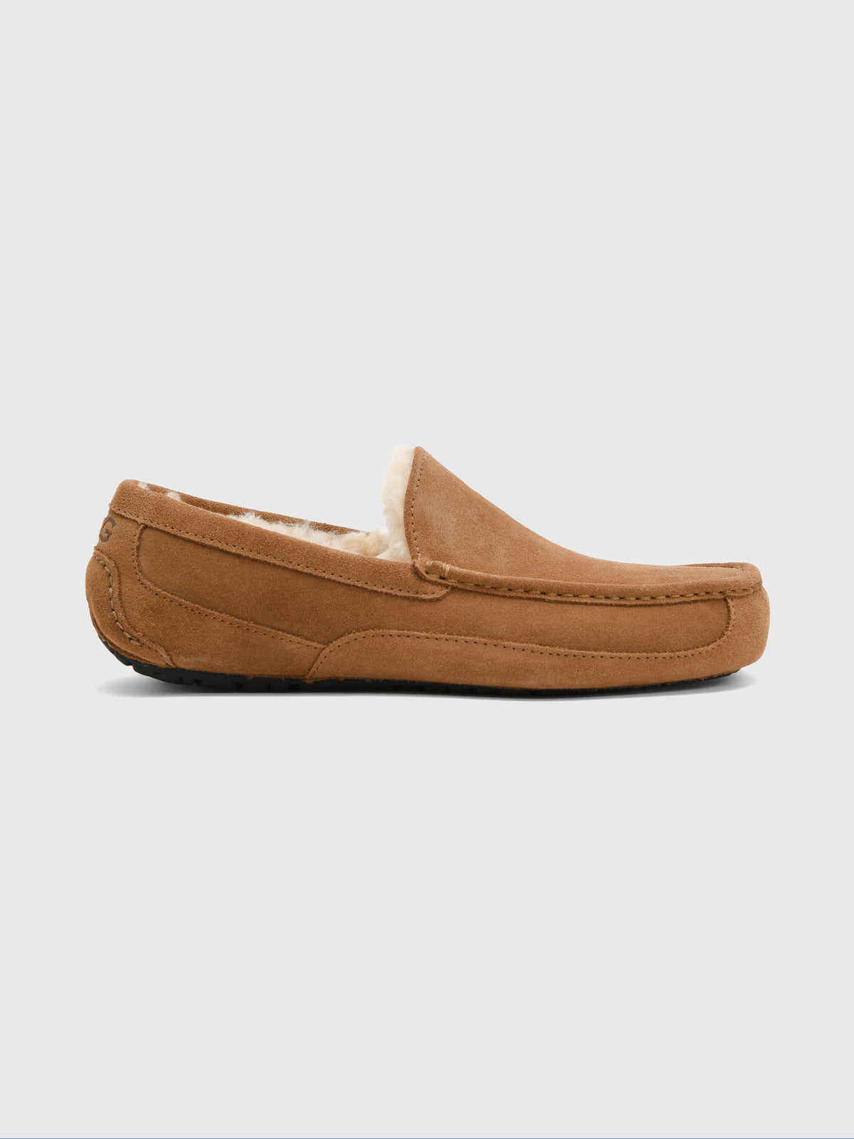 UGG Men's Ascot Slipper - Saint Bernard