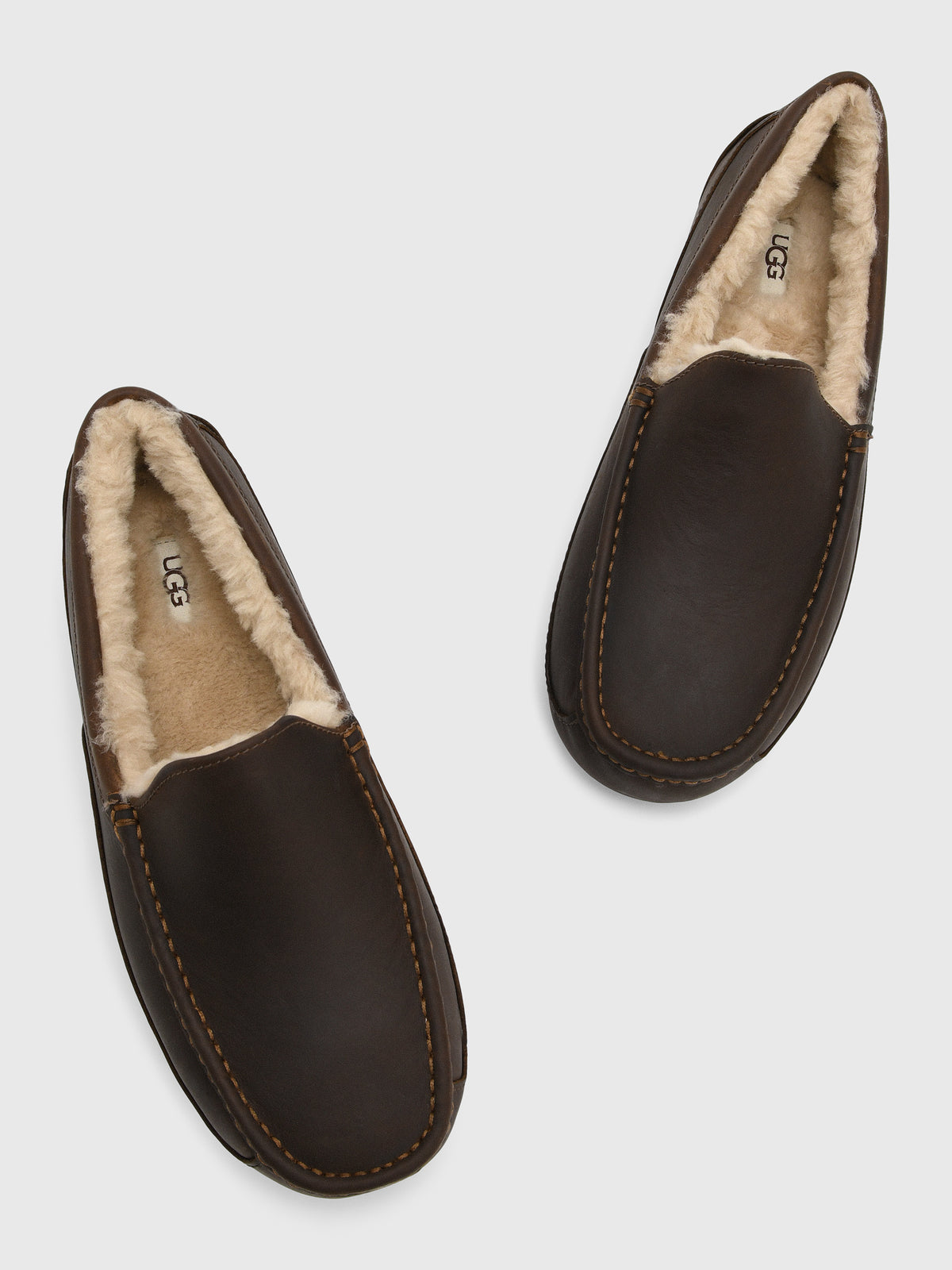 UGG Men's Ascot Matte Leather Slipper - Saint Bernard