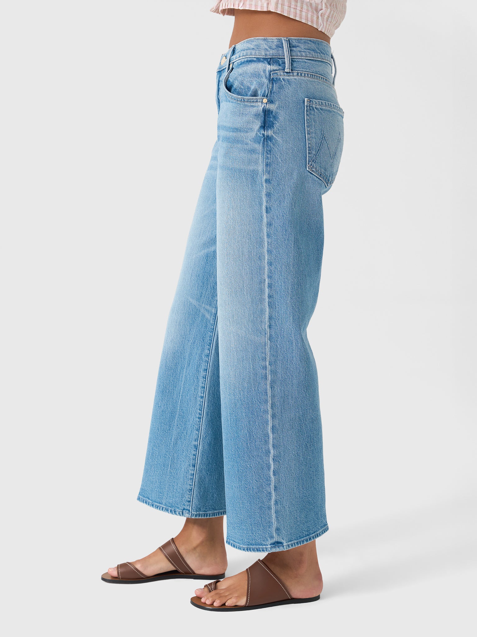 11148-1409xMAGICSCHOOLBUS-alt2