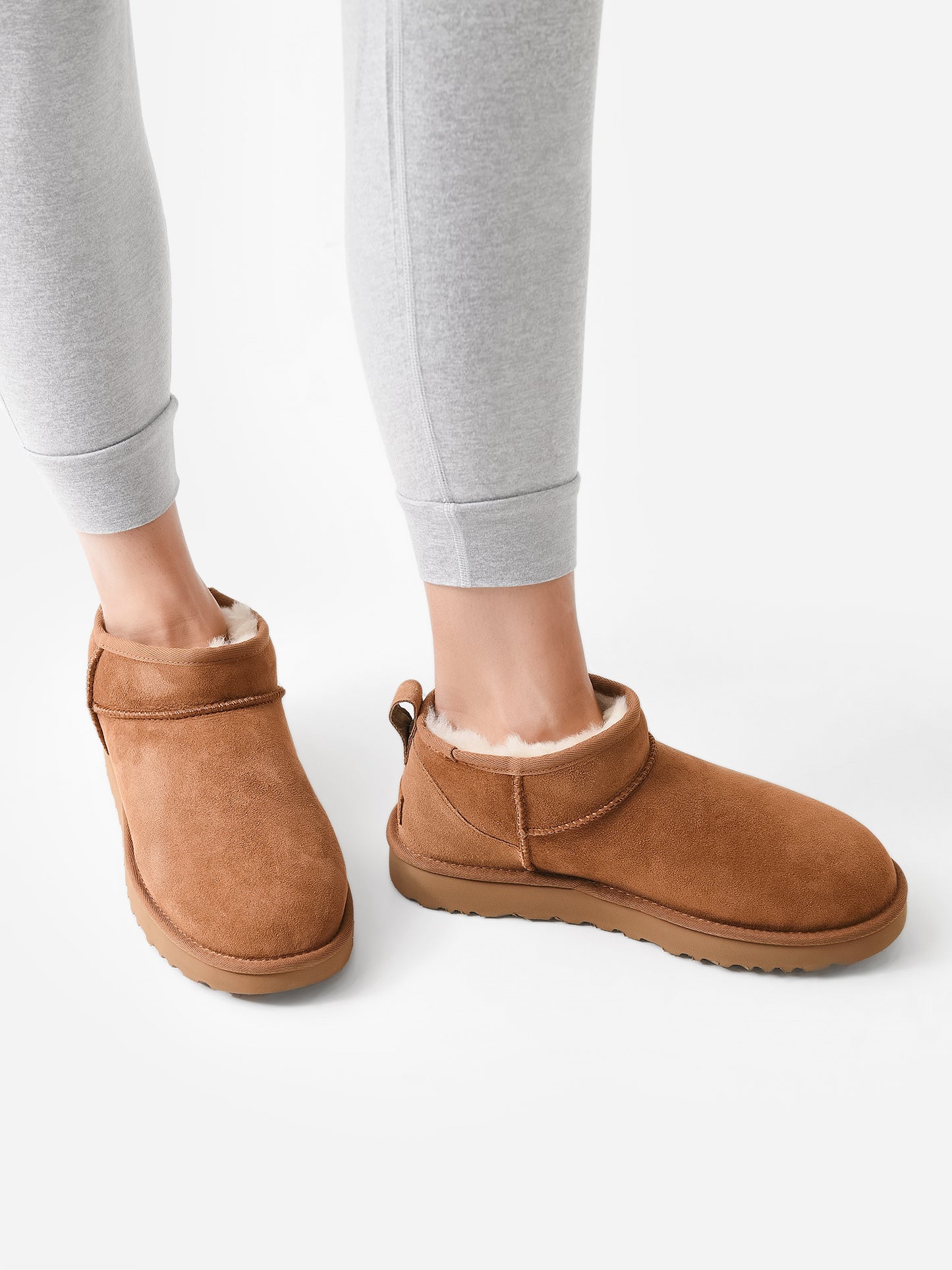 1116109xCHESTNUT-alt1