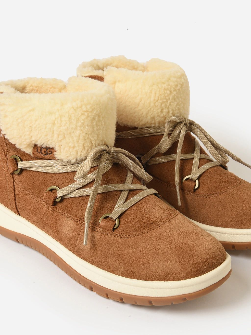 1143836xCHESTNUT-alt3