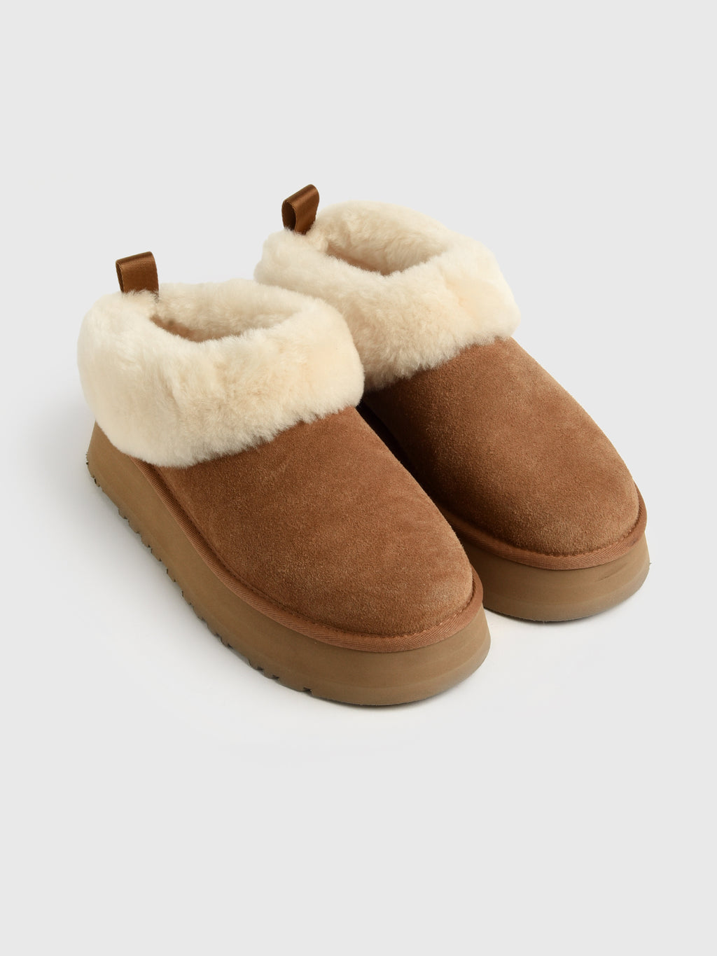 UGG Women's Tazzelle Slipper - Saint Bernard