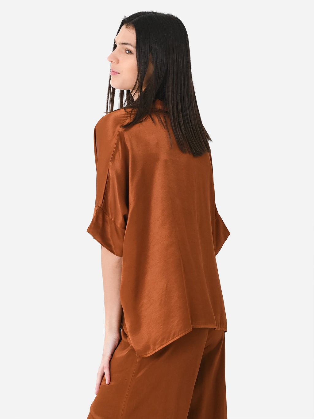 1243XSILxRICHBROWN-alt3