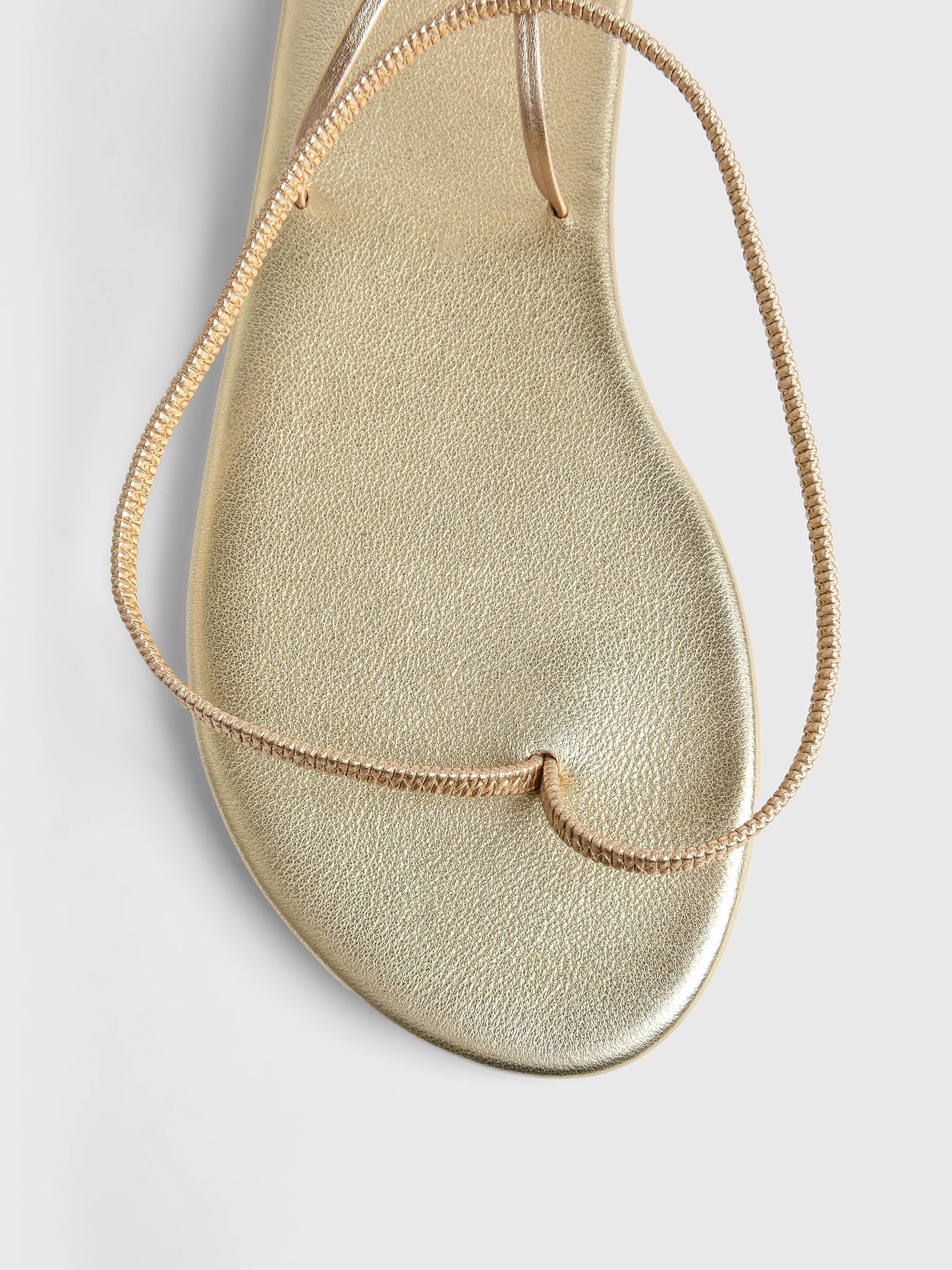 12466_1047xPLATINUM-alt2