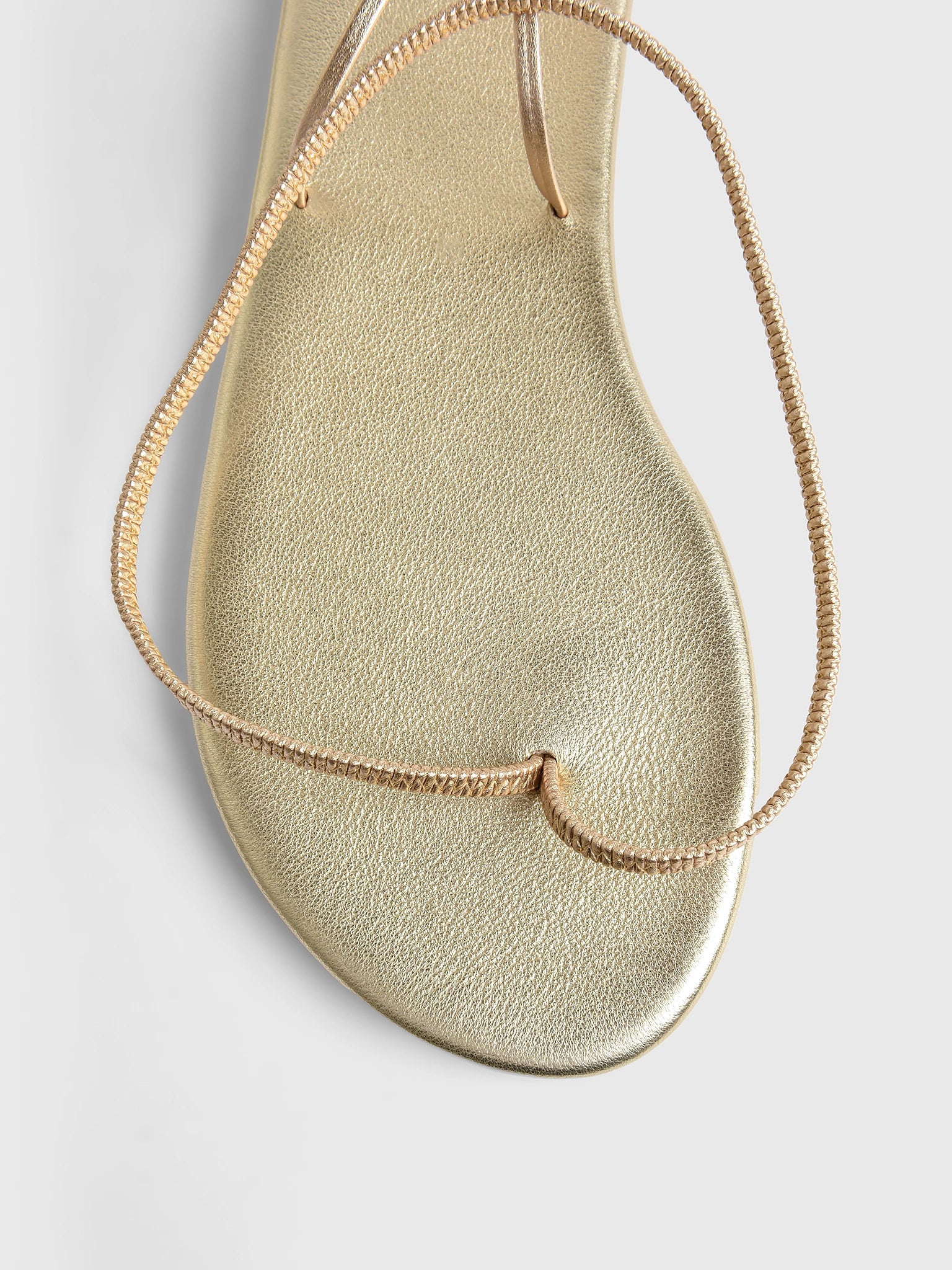 12466_1047xPLATINUM-alt2