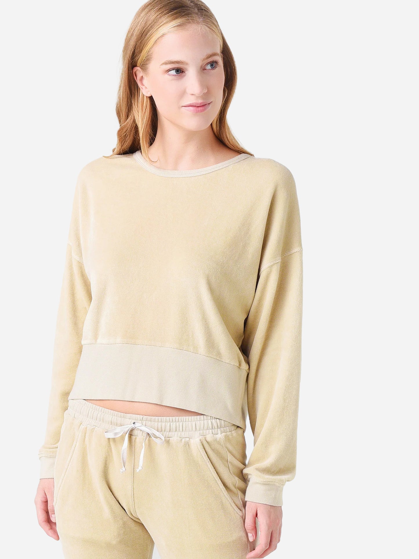 Stark X Women's Velour Cropped Sweatshirt - Saint Bernard