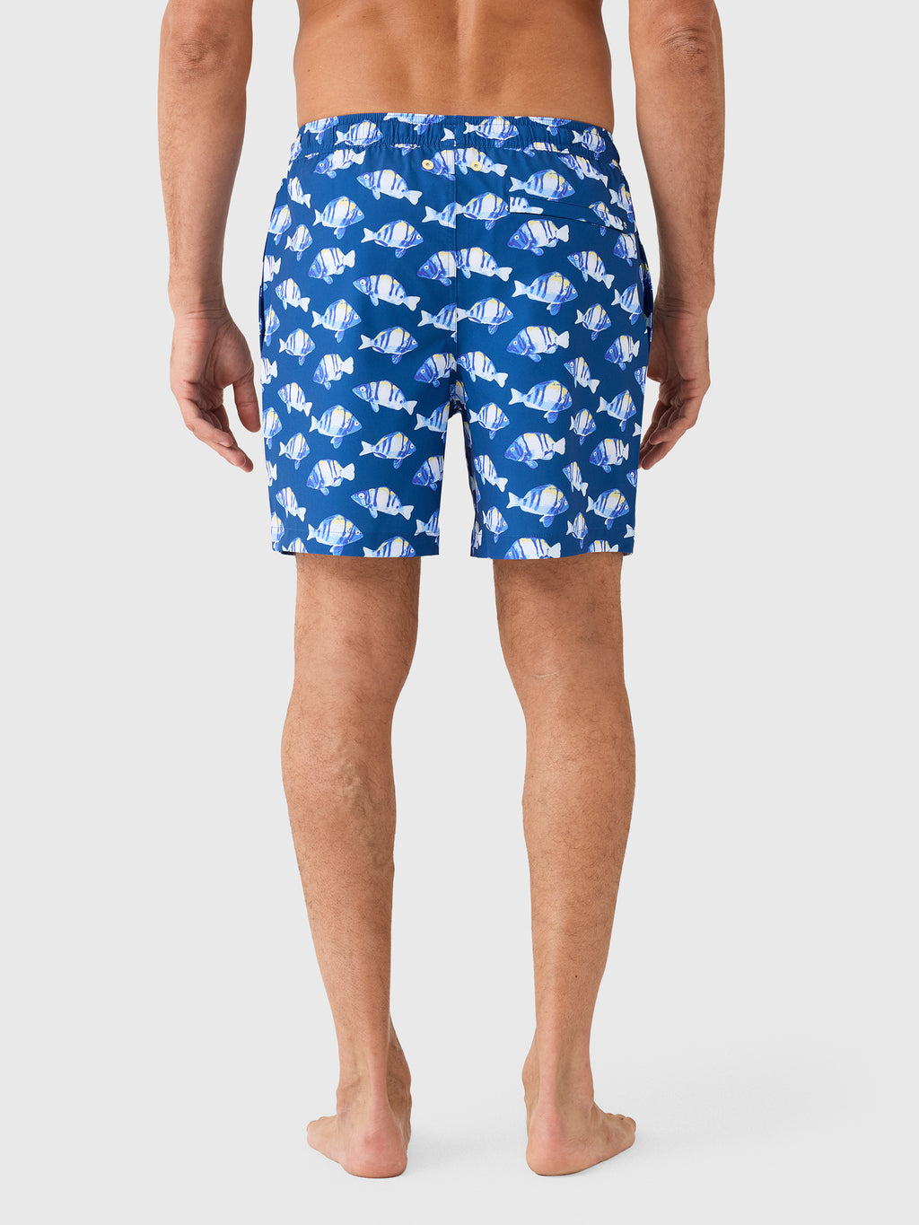 Southern Tide Men's Feeling Fintastic Maritime Swim Trunk - Saint Bernard