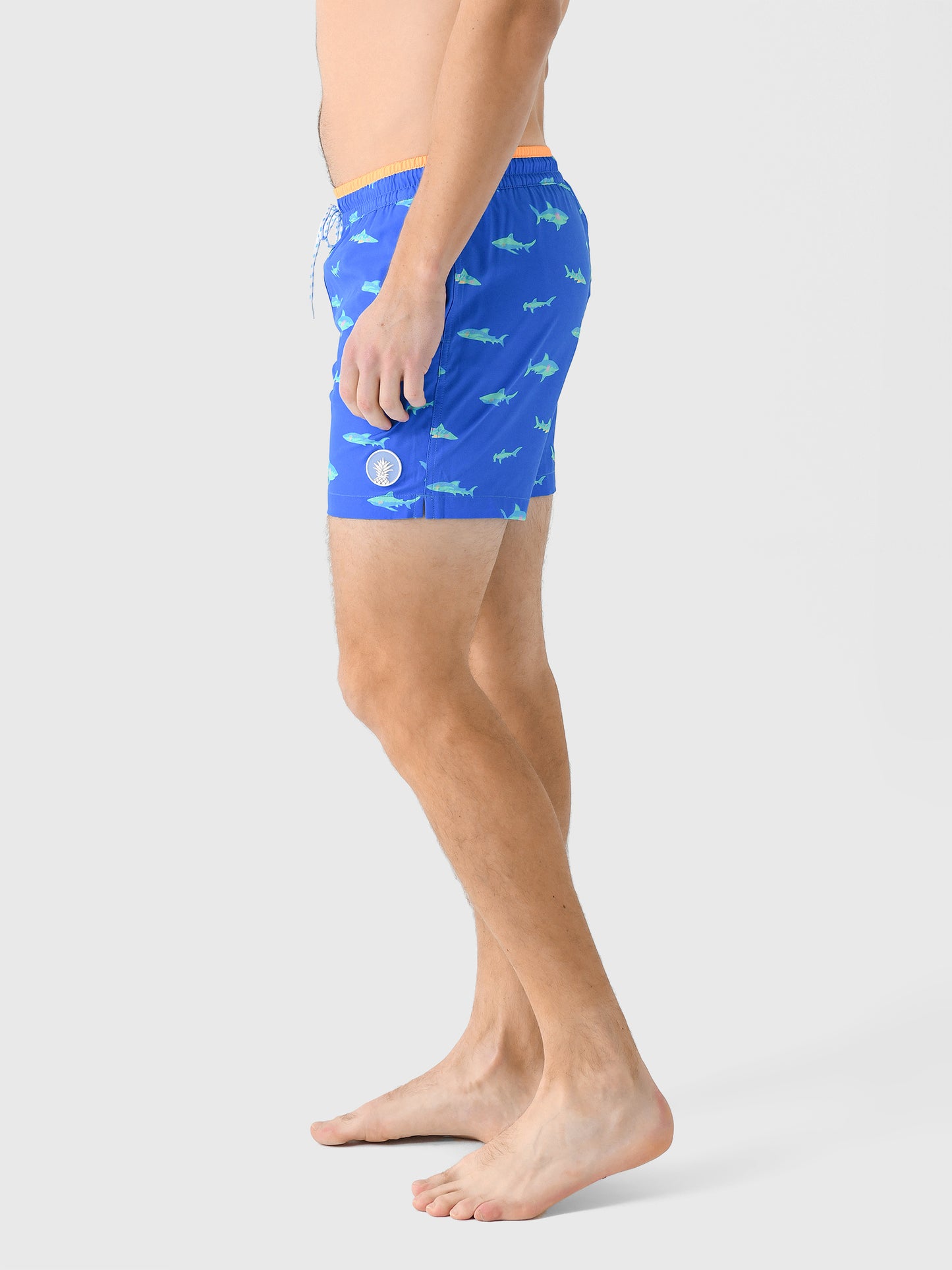 126241-34xBRIGHTBLUE-alt2