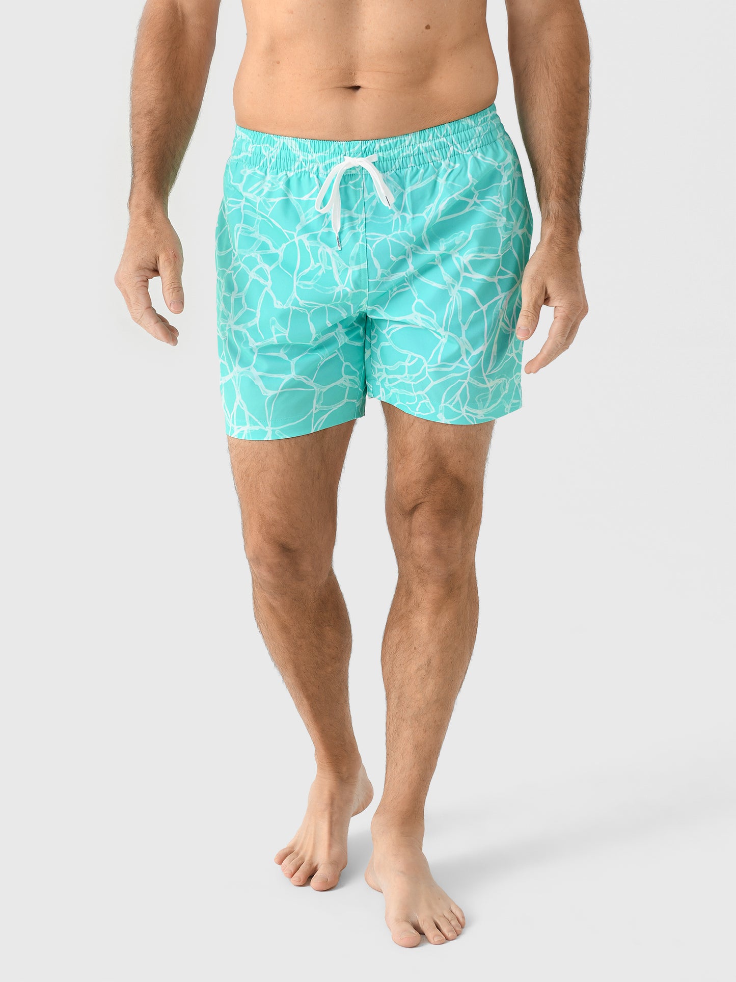 Chubbies Men's The Pool Parties 5.5" Lined Swim Trunk - Saint Bernard