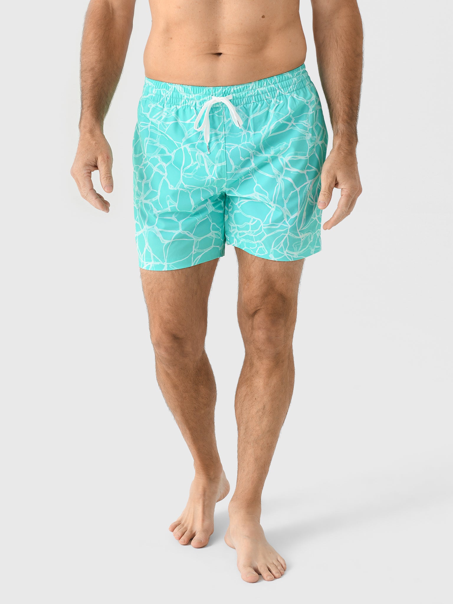 Chubbies Men's The Pool Parties 5.5" Lined Swim Trunk - Saint Bernard