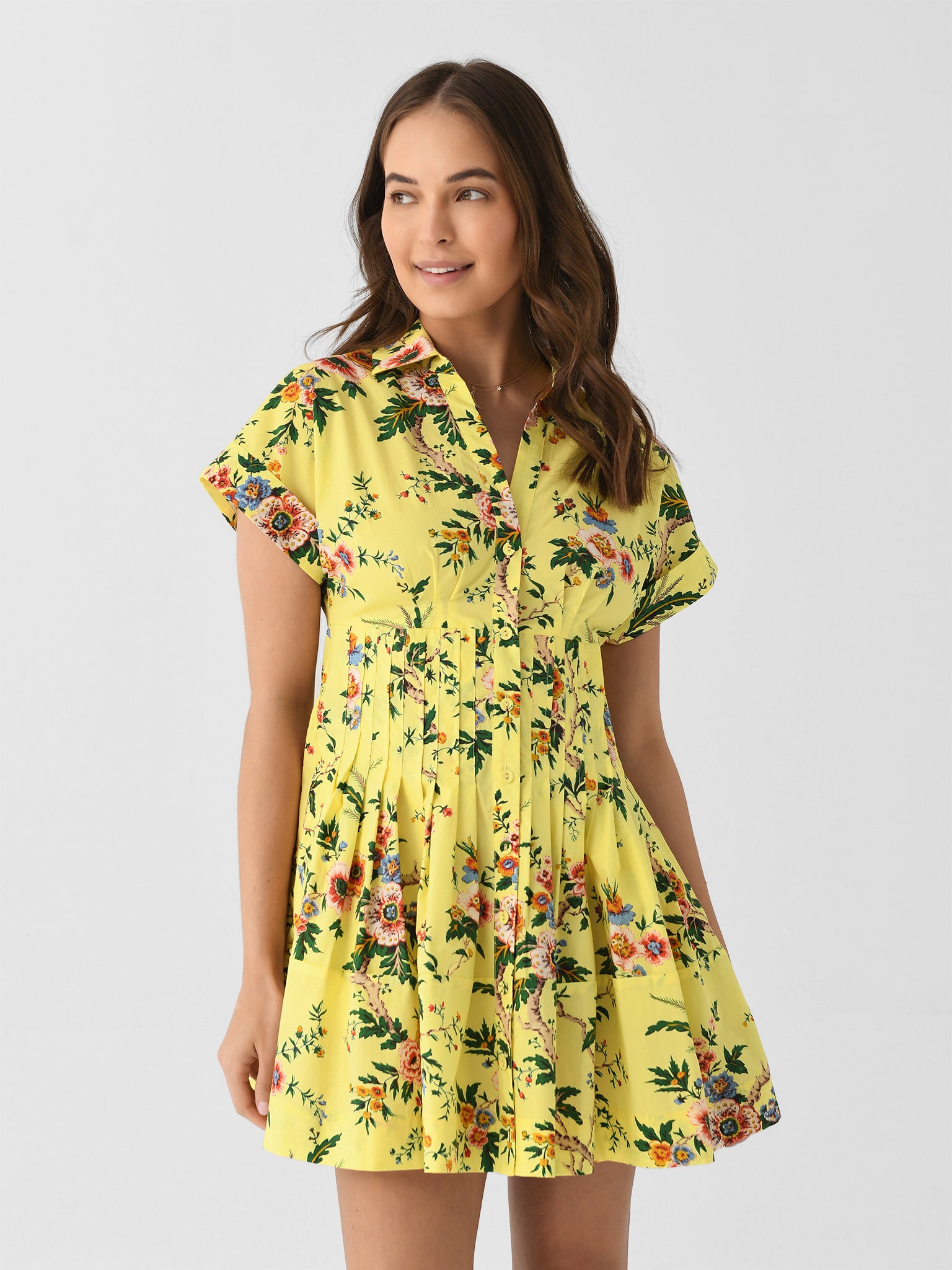 Cara Cara Women's Nash Mini Dress - Saint Bernard