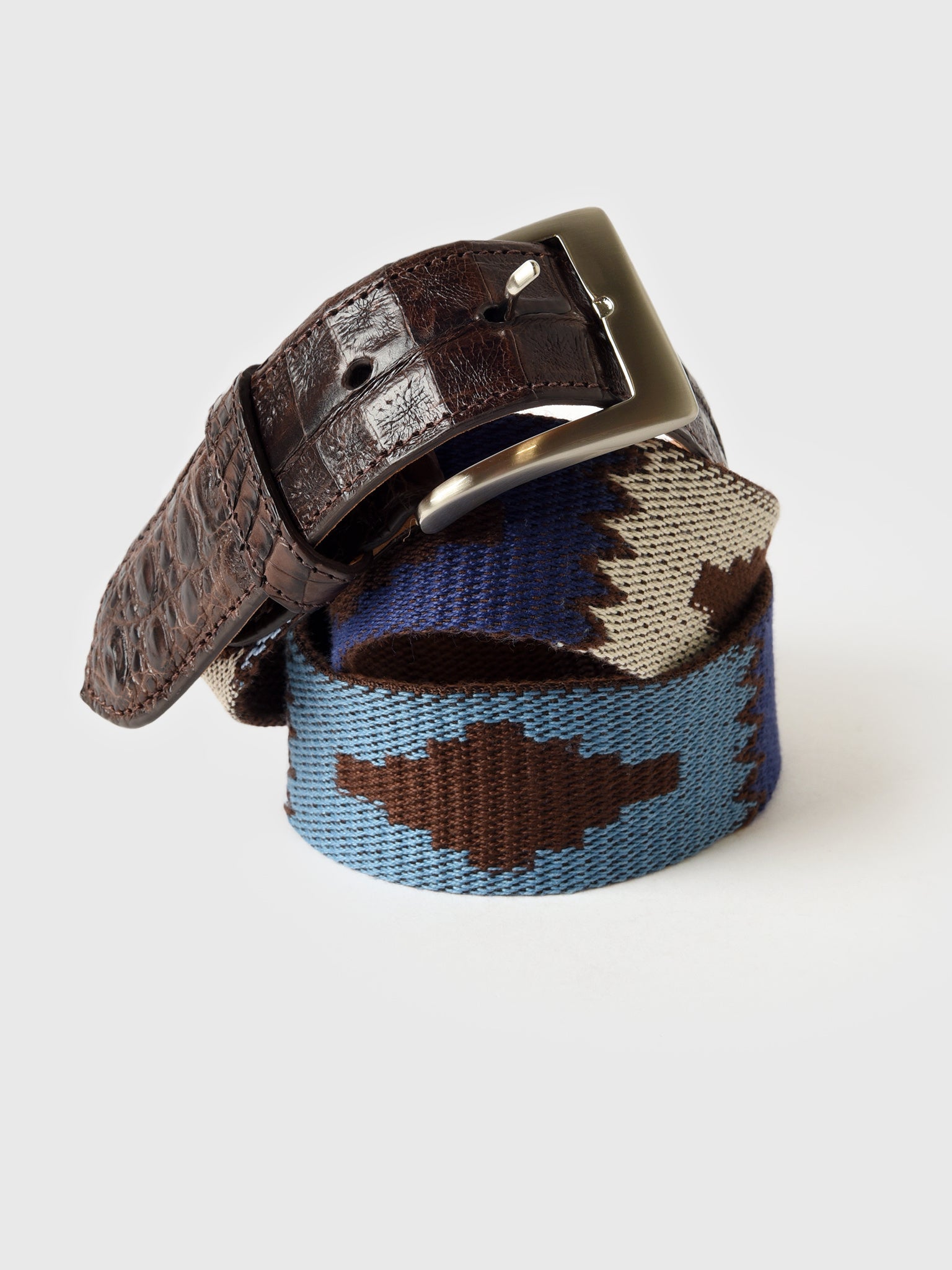 W. Kleinberg Men's Needlepoint Belt - Saint Bernard