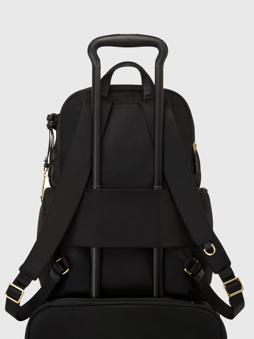 146566xBLACKGOLD-alt6