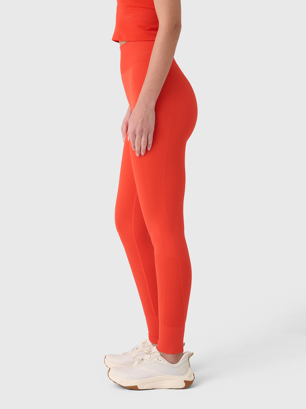 Halfdays Women's Sophia Seamless Legging - Saint Bernard