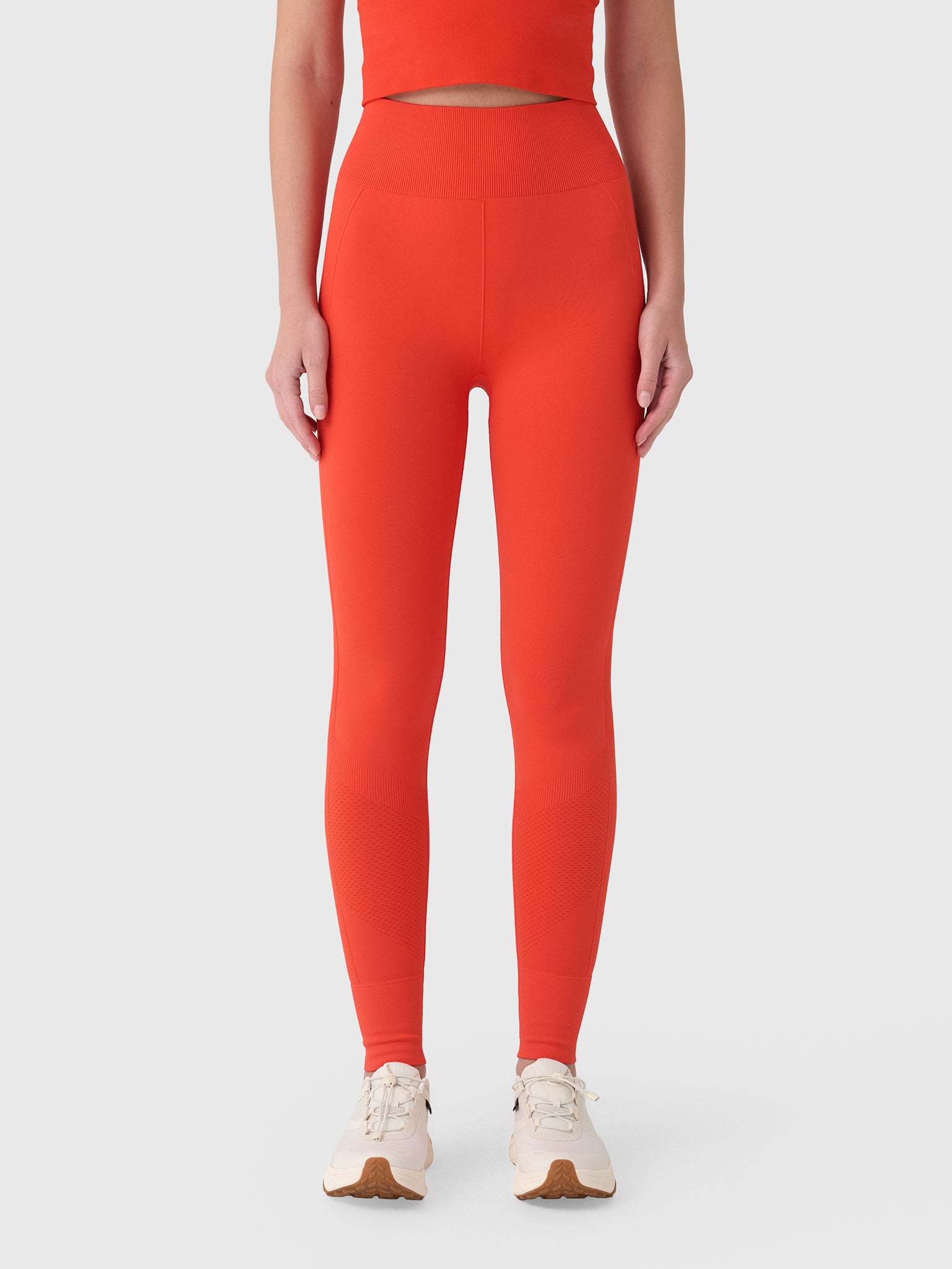 Halfdays Women's Sophia Seamless Legging - Saint Bernard