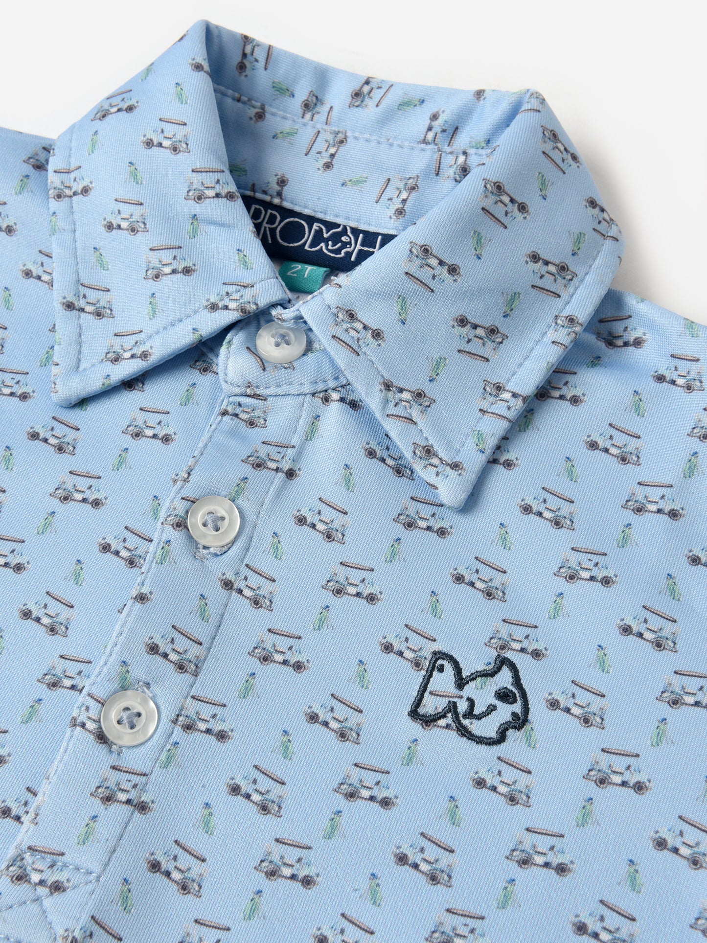 1PD0026F24xPOWDERBLUEGOLFCARTPRINT-alt1