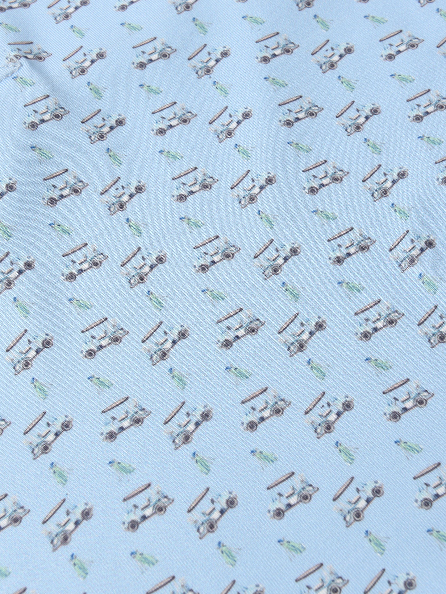 1PD0026F24xPOWDERBLUEGOLFCARTPRINT-alt2