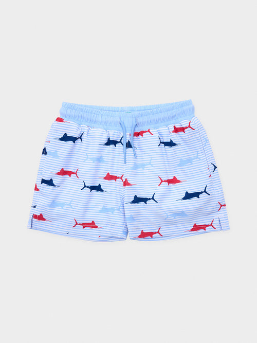 Prodoh Boys' Boogie Board Swim Trunk - Saint Bernard