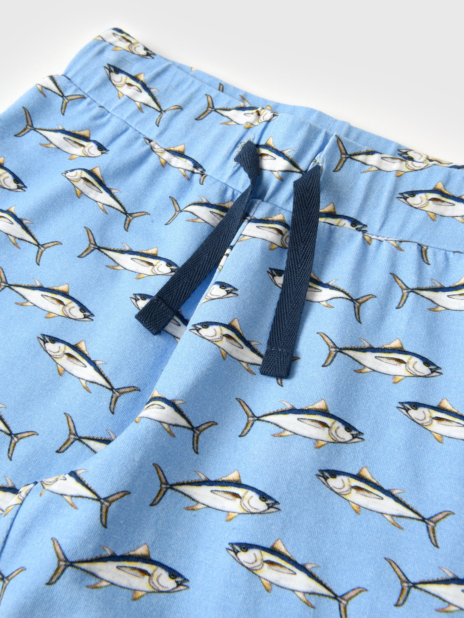 1PD0101F24xPOWDERBLUEFISHPRINT-alt1