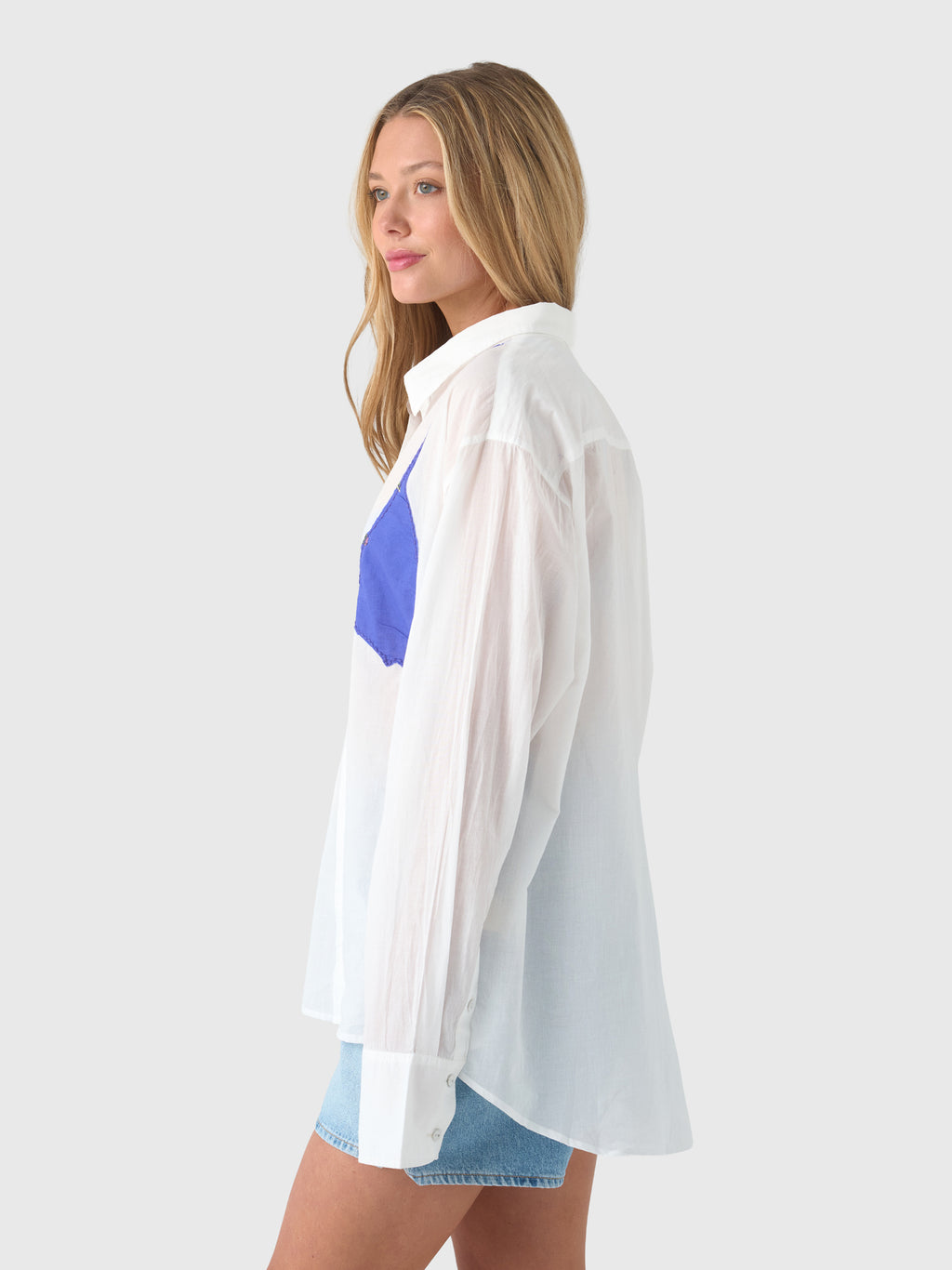 Coniglio Palm Beach Women's Business Casual Button Down Shirt - Saint Bernard