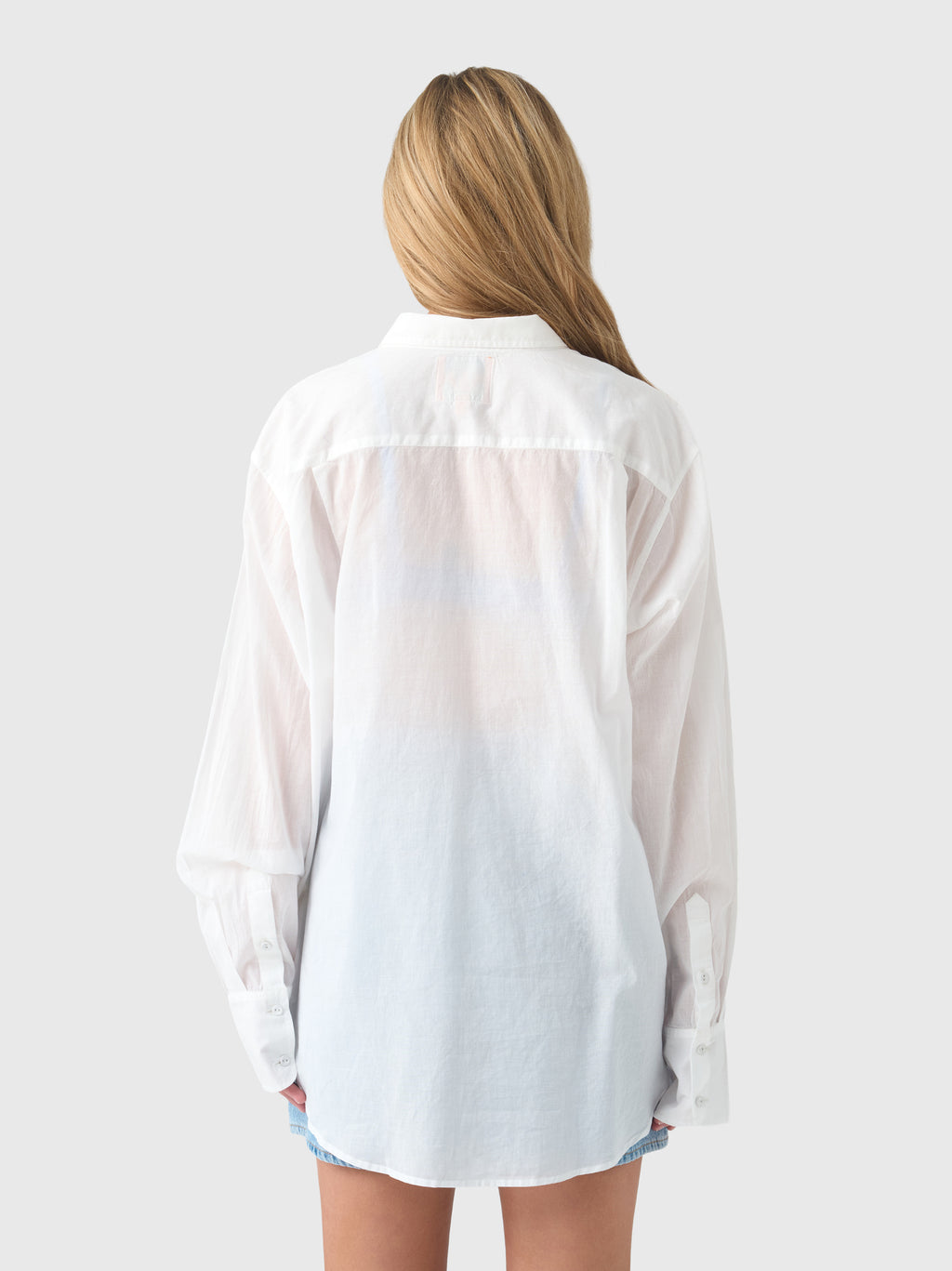 Coniglio Palm Beach Women's Business Casual Button Down Shirt - Saint Bernard
