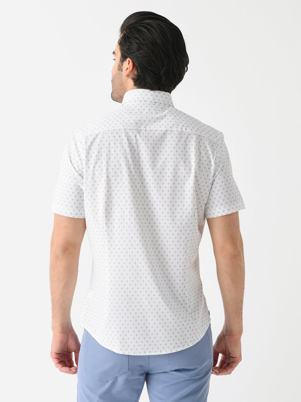 1WS-1577xBALSAMSTAR-alt3