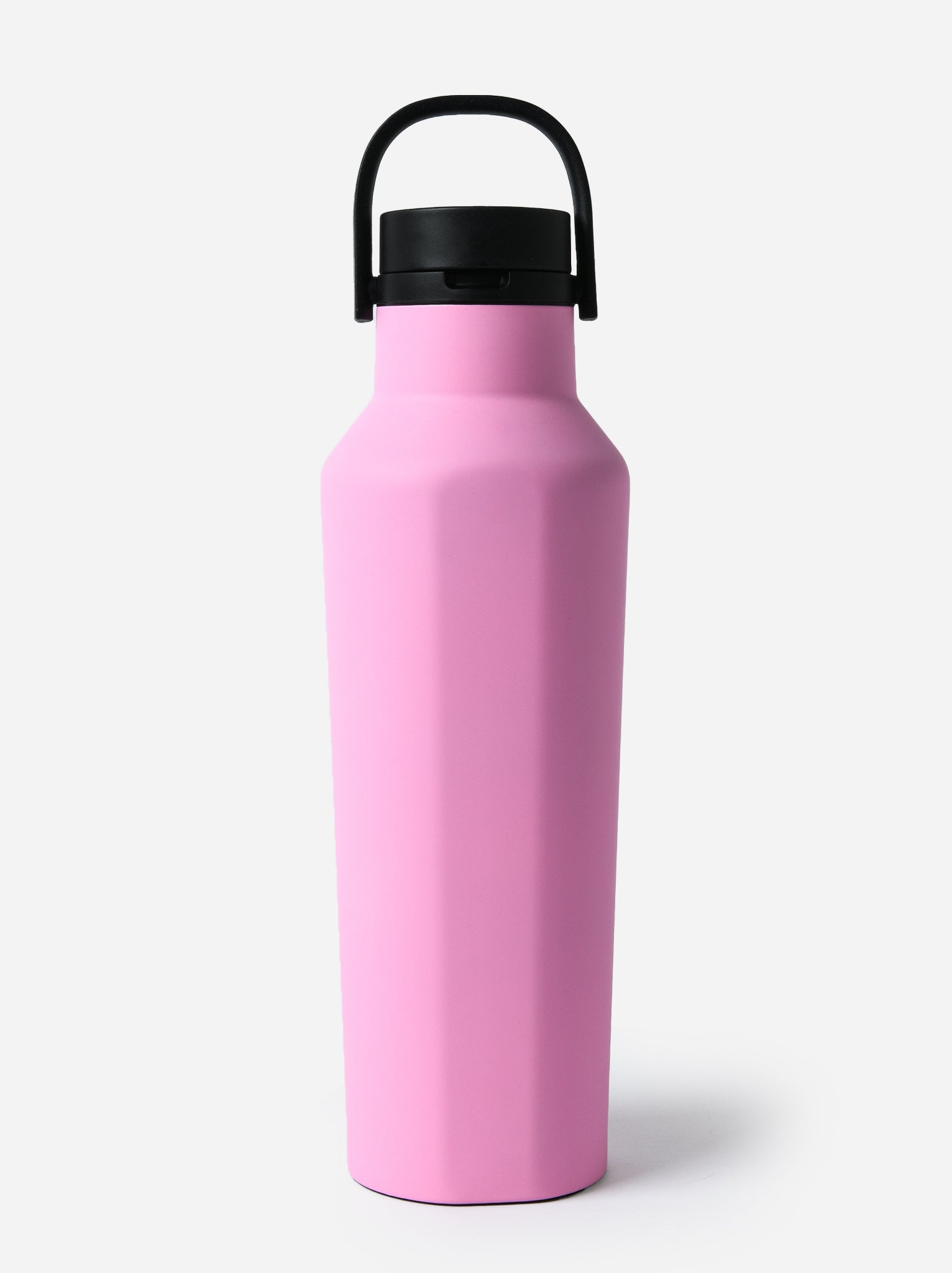 Corkcicle Series A Sport Canteen - Saint Bernard