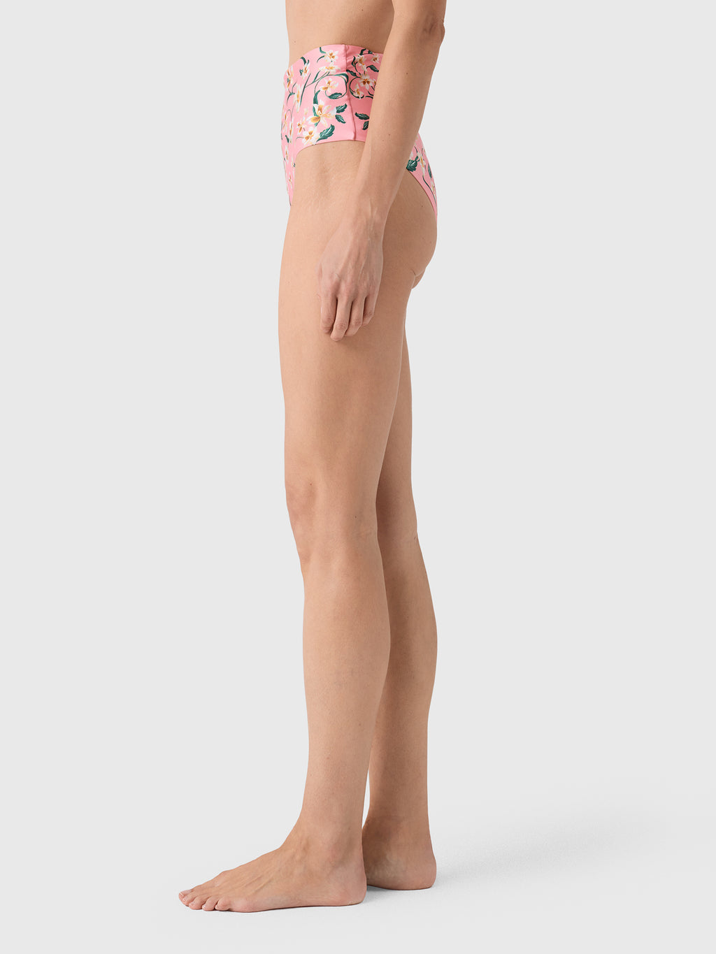 Agua By Agua Bendita Women's Magenta Promesa Bikini Bottom - Saint Bernard