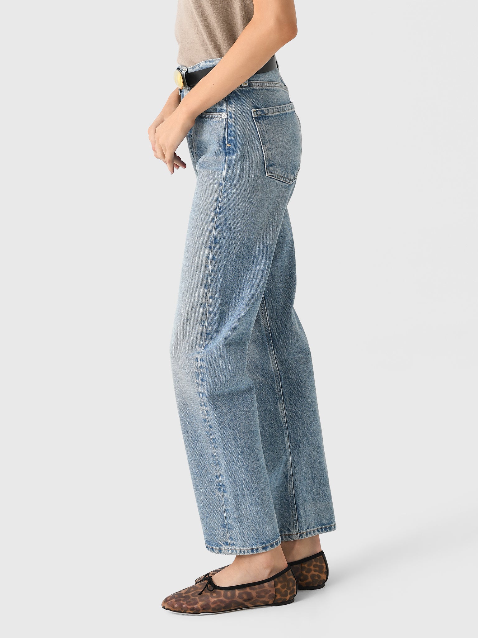 2197-3041xGEMINI-alt2