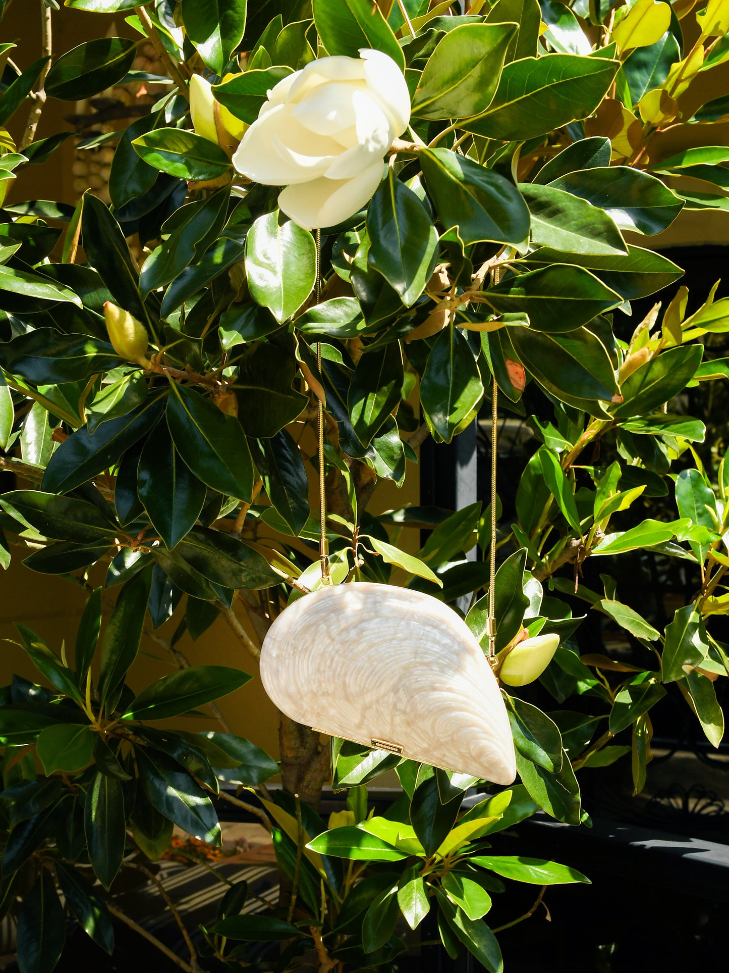 224-H001-ACRxIVORY-alt1