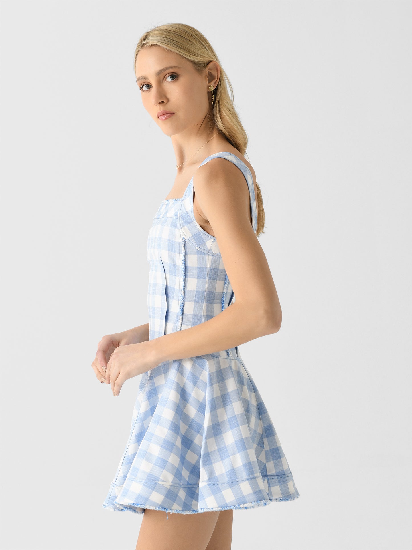 225-1188-YxBLUEHYDRAGEAGINGHAM-alt2