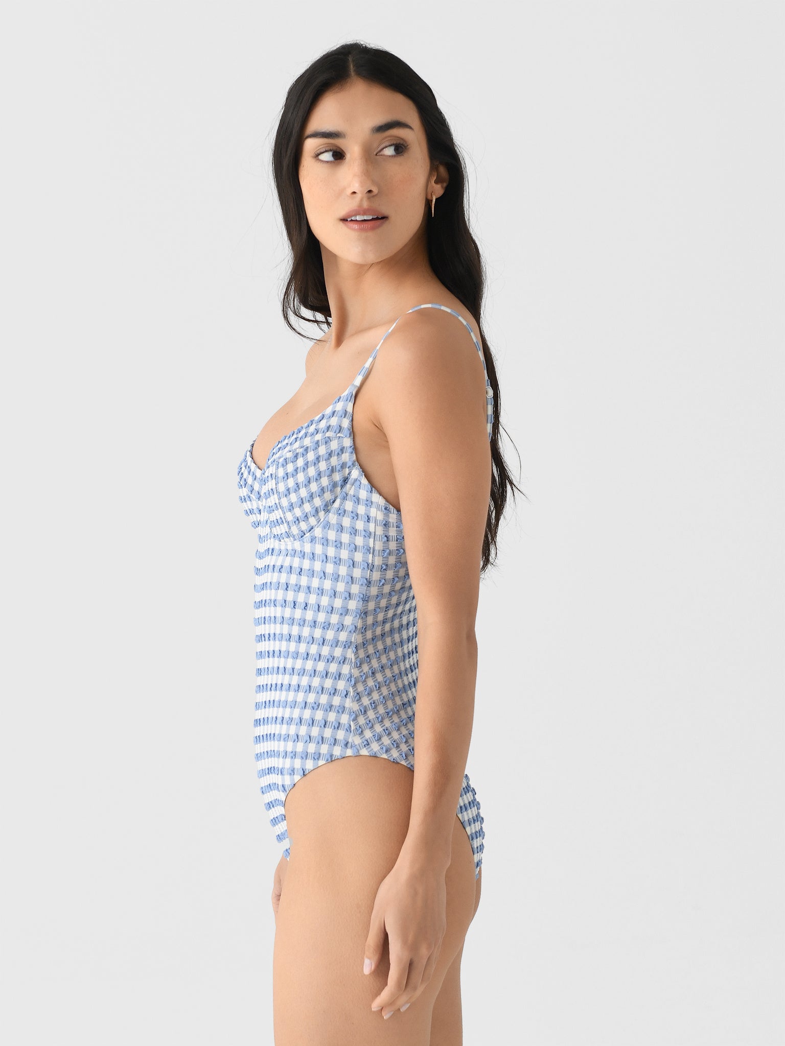 225-9085-SW-GINGxBLUEHYDRANGEAMULTI-alt2