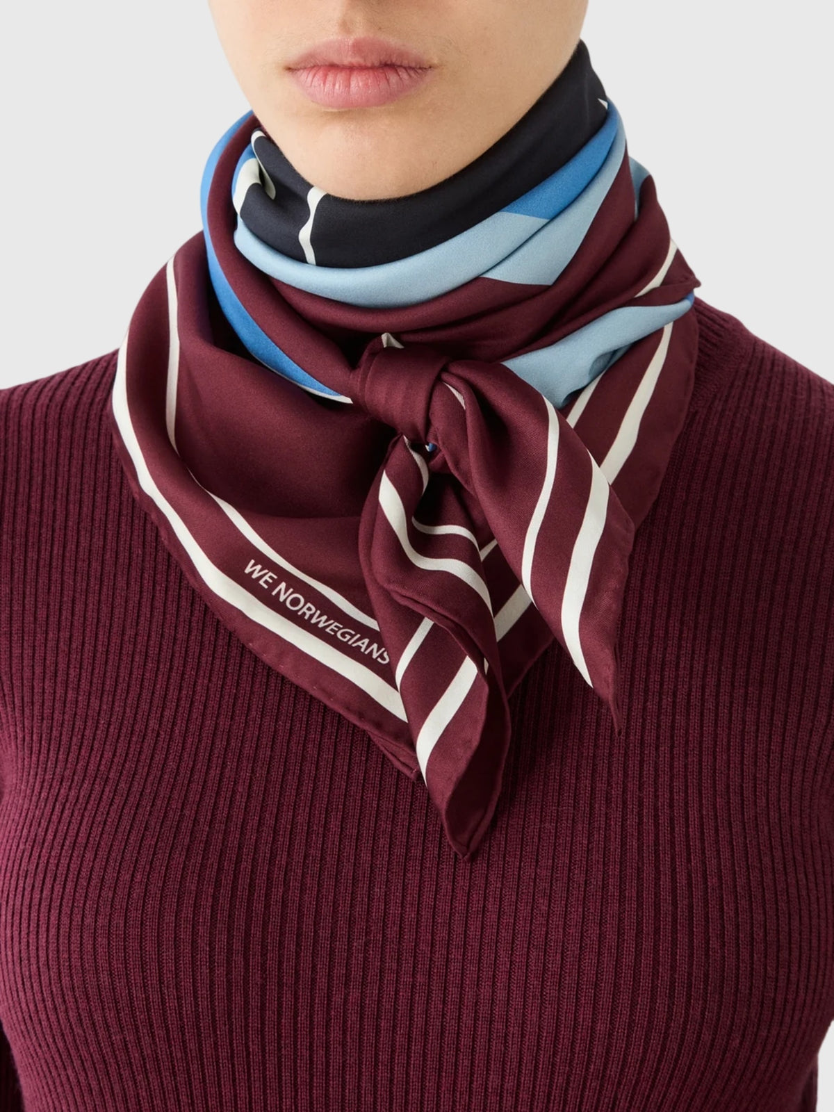 We Norwegians After Ski Silk Scarf - Saint Bernard