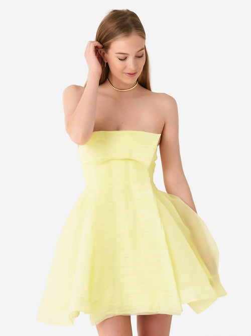 AJE Women's Astrid Pleat Panel Strapless Mini Dress