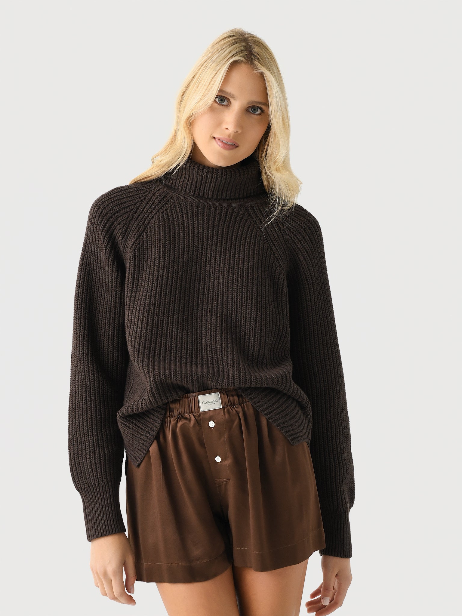 Alex Mill Women's Chelsea Turtleneck Sweater - Saint Bernard