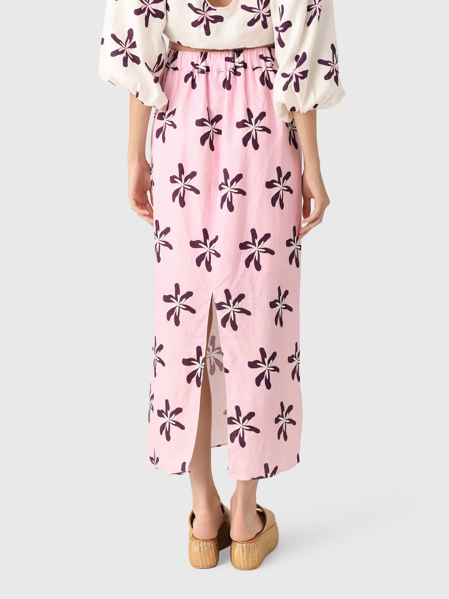 25A087xCATTLEYA-alt2