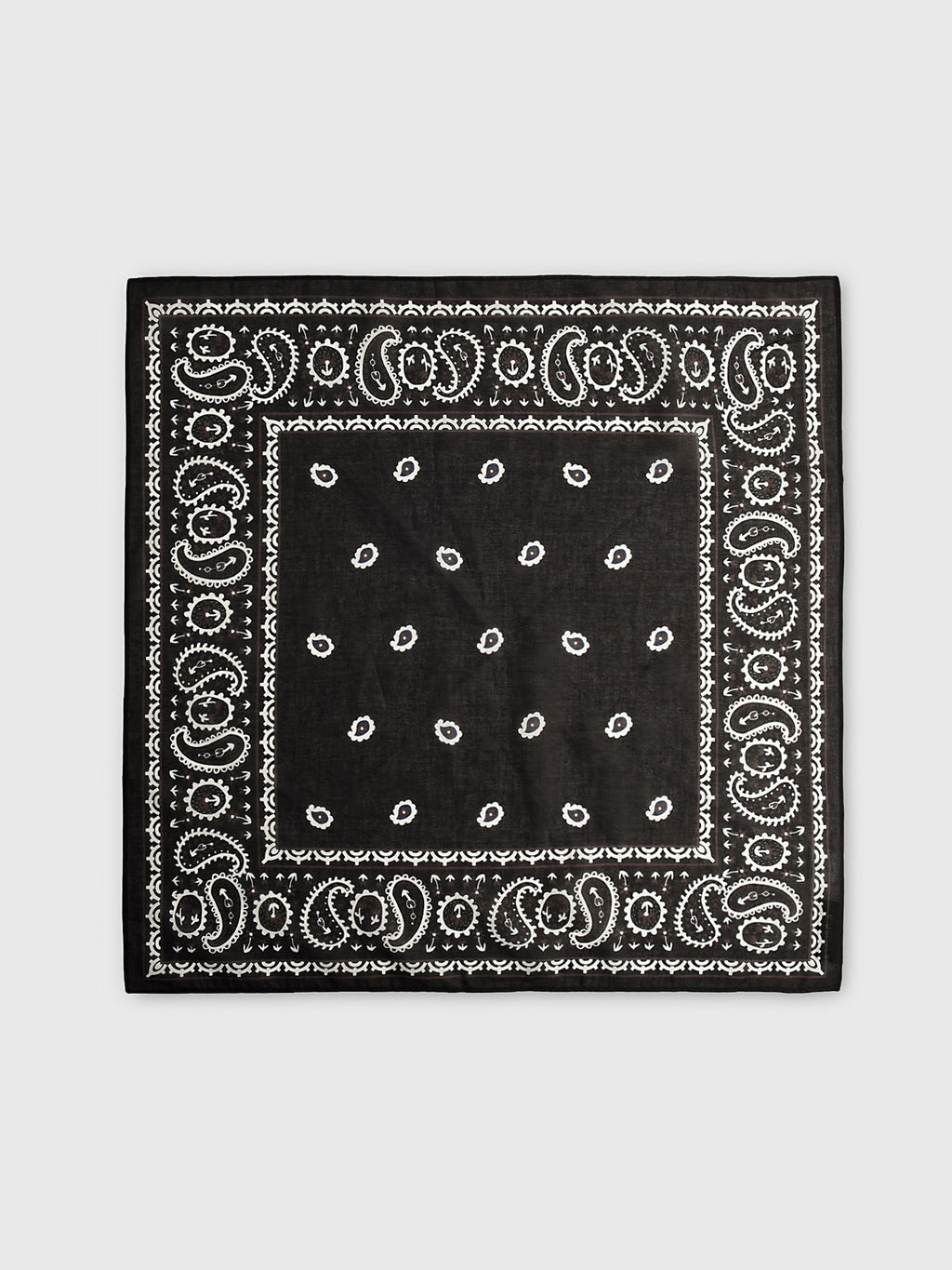 Hunter Bell Women's Printed Scarf - Saint Bernard